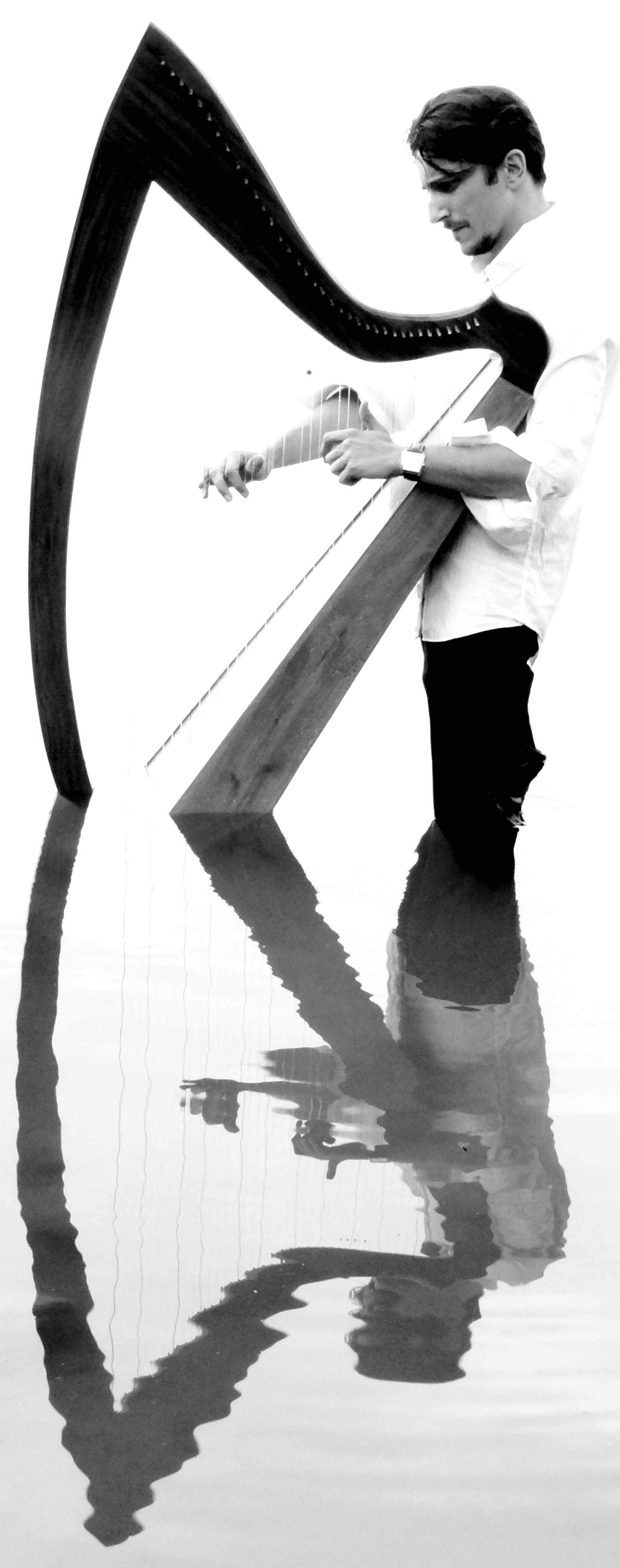dinan rencontres internationales de harpe celtique