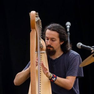 rencontre internationale des luthiers